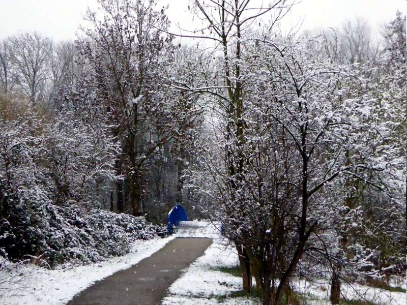 Maudacher Bruch Winter 2016
