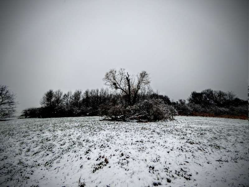 Maudacher Bruch Winter 2016