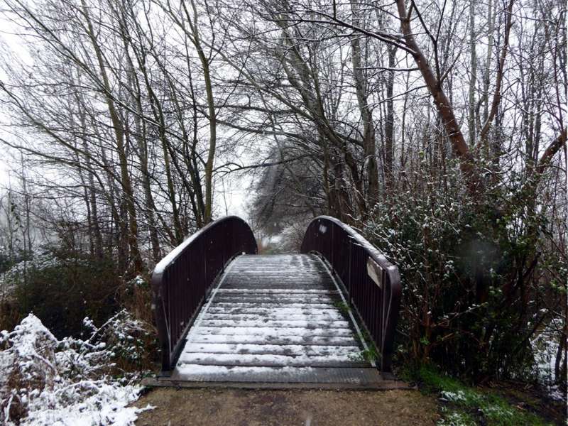 Maudacher Bruch Winter 2016