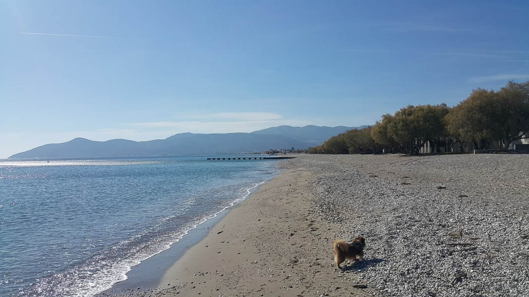 Kedros Beach