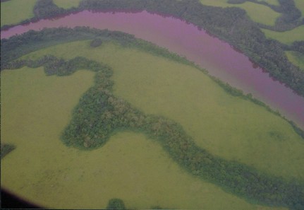 grüne Wiesen und der Fluss bei Franceville